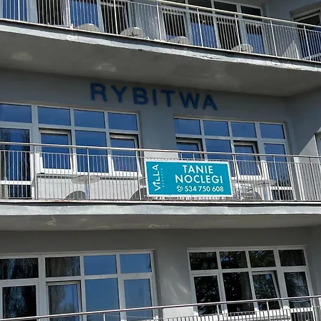 Rybitwa