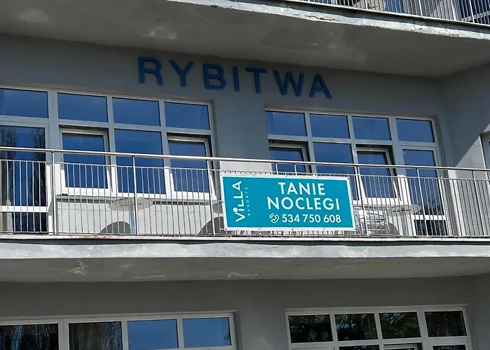 Rybitwa